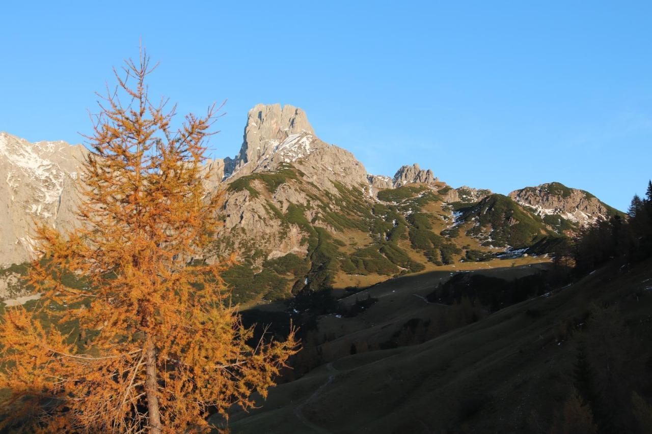 Payrhof Hotell Annaberg im Lammertal Exteriör bild