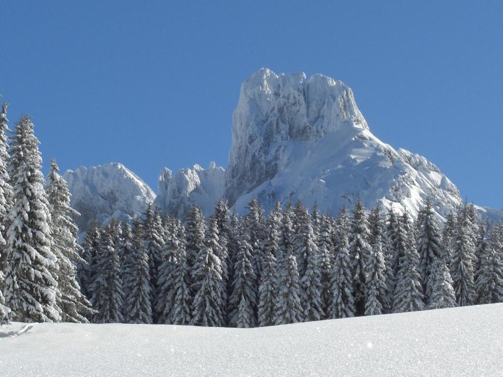 Payrhof Hotell Annaberg im Lammertal Exteriör bild