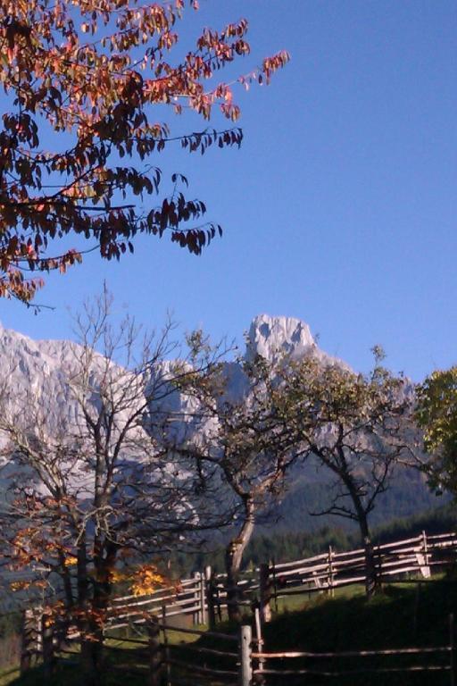 Payrhof Hotell Annaberg im Lammertal Exteriör bild